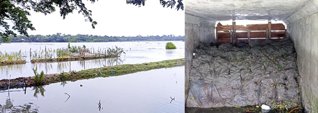 মোরেলগঞ্জে ৩শ’ কৃষক পরিবার জলাবদ্ধতায় 6 12 12