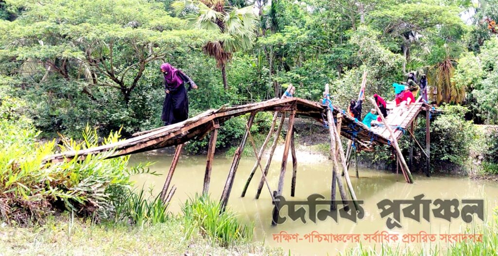 মোরেলগঞ্জে কাঠের পুল ভেঙে খালে, ১০ হাজার মানুষের ভোগান্তি চরমে 3 8 12