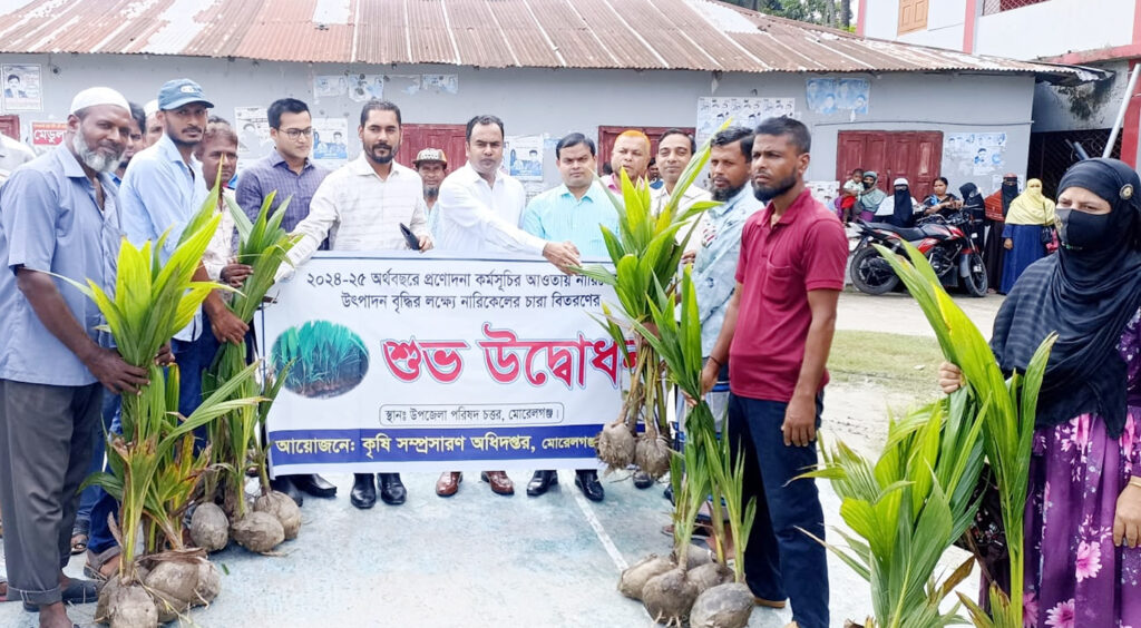 মোরেলগঞ্জে ক্ষুদ্র প্রান্তিক কৃষকদের মাঝে ১৪ শ’ নারিকেল চারা বিতরণ 5 12 14