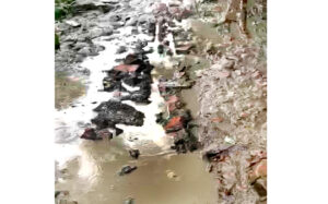 সর্বশেষ 2 5 19